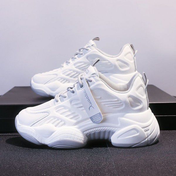 Spring New Mesh Breathable Thick Sole Student Footwear Small Casual Sneakers 