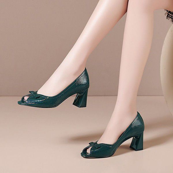 Spring New Thick Heel Fish Mouth Single Shoes for Women's Large Round Toe Black Fashion High Heel Cool Shoes 
