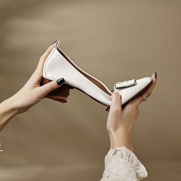 Shallow cut single shoe women's thick heels, new spring and autumn versatile temperament, high heels, French square toe commuting women's shoes, large size 